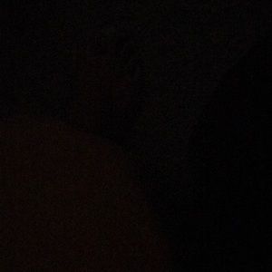 Meet your Posher, Shamar